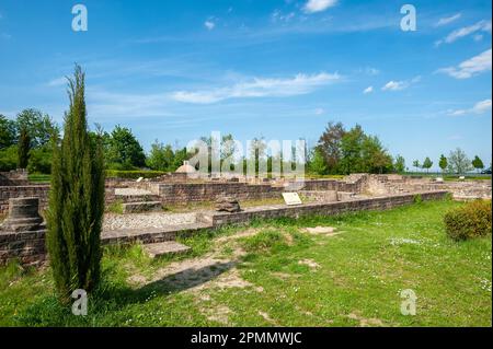 Rekonstruierte Gründungsmauern des ehemaligen Landhauses Villa Rustica, Wachenheim, Pfalz, Rheinland-Pfalz, Deutschland, Europa Stockfoto