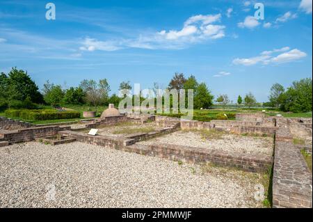 Rekonstruierte Gründungsmauern des ehemaligen Landhauses Villa Rustica, Wachenheim, Pfalz, Rheinland-Pfalz, Deutschland, Europa Stockfoto