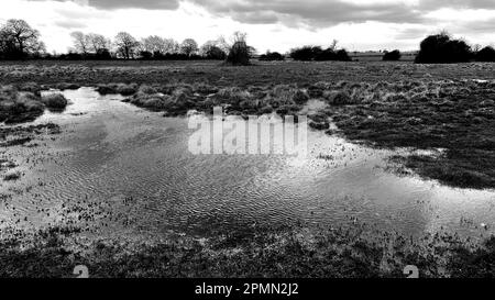 Wasser in einer Landschaft, Hemingford Abbots Stockfoto