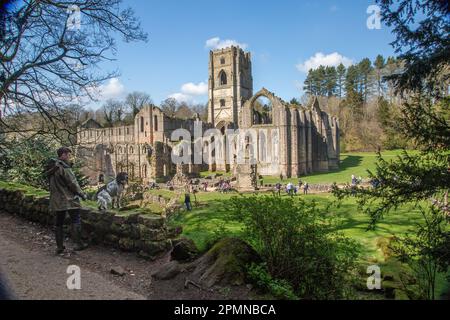 Brunnen Abtei die Überreste eines Zisterzienserklosters sind heute ein Eigentum des National Trust in der Nähe der nördlichen Yorkshire Stadt Ripon Stockfoto