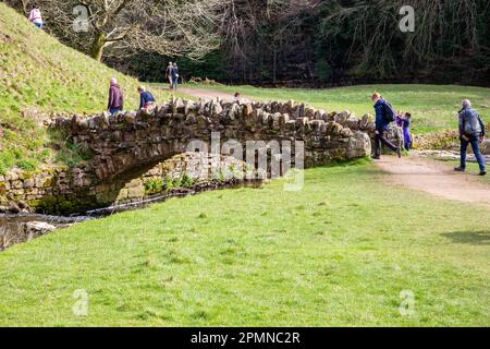 The Seven Bridges Valley Walk ein malerischer Spaziergang auf dem Gelände der Royal Studley Gardens und Fountains Abbey in der Nähe von Ripon in North Yorkshire, England Stockfoto