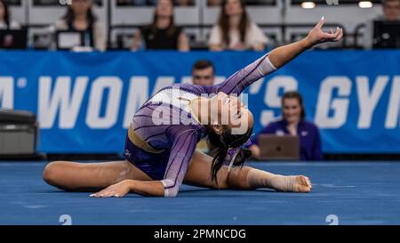 Fort Worth, USA. 13. April 2023. Aleah Finnegan der Louisiana State University erreichte den zweiten Platz mit 9,965 Punkten im Bodentrainingswettbewerb der Halbfinals und half ihrem Team, beim NCAA Women's Gymnastics Semi-Finals 2023 in Dickie's Arena, Fort Worth, Texas, am 13. April 2023 in die Finals zu gelangen (Foto: Jeff Wong/Sipa USA). Kredit: SIPA USA/Alamy Live News Stockfoto