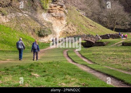 The Seven Bridges Valley Walk ein malerischer Spaziergang auf dem Gelände der Royal Studley Gardens und Fountains Abbey in der Nähe von Ripon in North Yorkshire, England Stockfoto