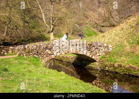 The Seven Bridges Valley Walk ein malerischer Spaziergang auf dem Gelände der Royal Studley Gardens und Fountains Abbey in der Nähe von Ripon in North Yorkshire, England Stockfoto