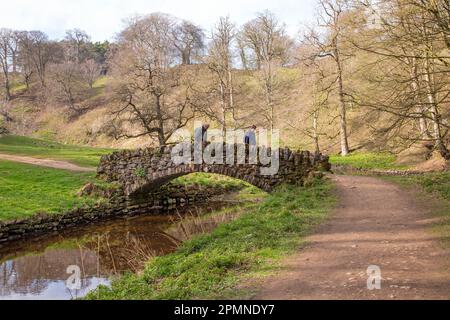 The Seven Bridges Valley Walk ein malerischer Spaziergang auf dem Gelände der Royal Studley Gardens und Fountains Abbey in der Nähe von Ripon in North Yorkshire, England Stockfoto