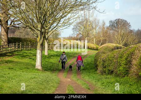 Ein Paar, das mit einem Hund auf einem grünen Pfad in der Landschaft von North Yorkshire in der Nähe von Ripon spaziert Stockfoto