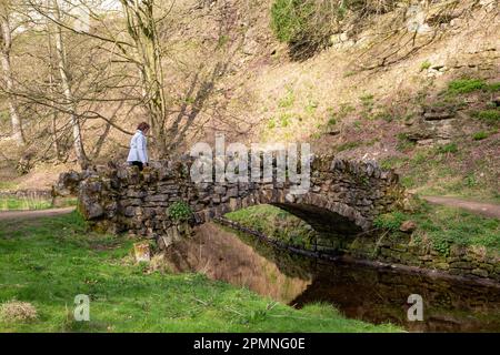 The Seven Bridges Valley Walk ein malerischer Spaziergang auf dem Gelände der Royal Studley Gardens und Fountains Abbey in der Nähe von Ripon in North Yorkshire, England Stockfoto