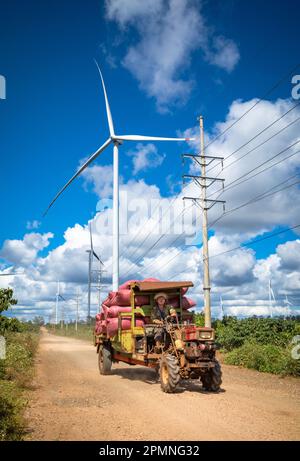 Riesige Windturbinen erheben sich über Kaffeebaumplantagen, während ein Traktor-Anhänger Säcke mit Kaffeekirschen auf dem Plateau in den Central Highlands transportiert Stockfoto