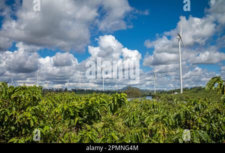 Riesige Windturbinen erheben sich über Kaffeebauplantagen auf dem Plateau im zentralen Hochland Vietnams in der Provinz Gia Lai. Stockfoto