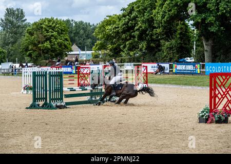 Hickstead Horse Trails 2022 Stockfoto