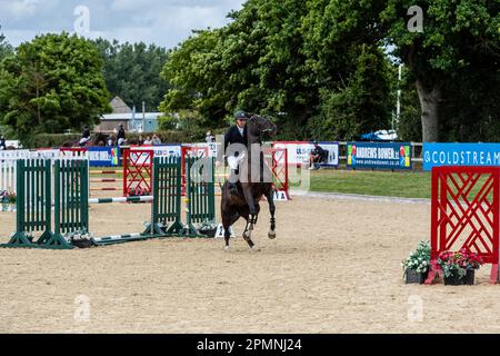 Hickstead Horse Trails 2022 Stockfoto