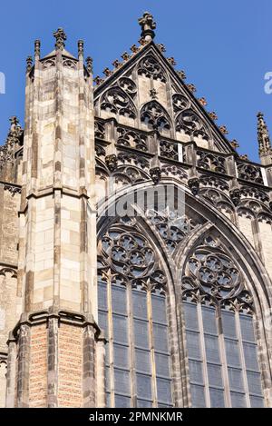 02 April 2023, Utrecht, Niederlande, St. Martin's Cathedral, Utrecht, oder Dom Church, ist eine gotische Kirche, die dem Heiligen Martin von Tours gewidmet ist Stockfoto