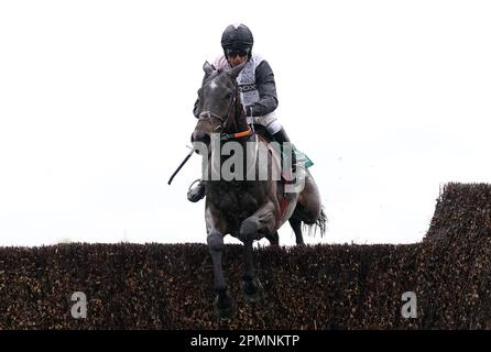 Gerri Colombe reitete von Davy Russell auf dem Weg, den Air Charter Service Mildmay Novice' Chase am zweiten Tag des Randox Grand National Festivals auf der Rennbahn Aintree, Liverpool, zu gewinnen. Foto: Freitag, 14. April 2023. Stockfoto