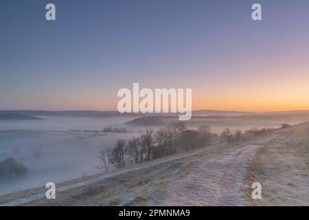 Der frühmorgendliche Nebel liegt im Herbst im Singleton-Tal im South Downs-Nationalpark. Stockfoto