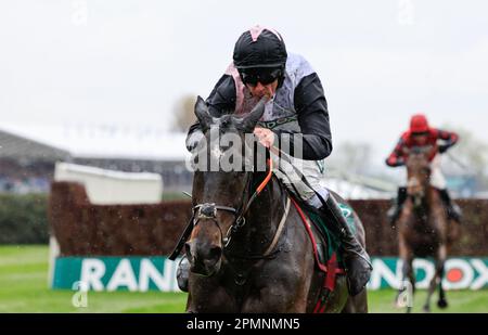 Liverpool, Großbritannien. 14. April 2023. Gerri Colombe Ridden by Davy Russell gewinnt die Air Charter Service Mildmay Novice' Chase während des Randox Grand National Festivals 2023 Ladies Day in Aintree Racecourse, Liverpool, Großbritannien, am 14. April 2023 (Foto von Conor Molloy/News Images) in Liverpool, Großbritannien, am 4./14. April 2023. (Foto: Conor Molloy/News Images/Sipa USA) Guthaben: SIPA USA/Alamy Live News Stockfoto