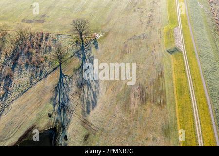 Luftaufnahme des neuen Deichenbaus weiter im Inland als der alte Deich, Hochwasserschutz, Elbe in der Nähe des Dorfes Lenzen, Deiche ist Teil des Elbzyklus r Stockfoto