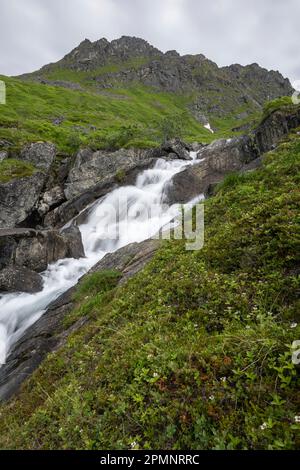 Ein Gletscherwasserfall, der am Archangel Hatcher Pass unter einem grauen, wolkigen Himmel in der Nähe der Independence Mine über eine felsige Klippe auf einem grünen Berghang fließt Stockfoto