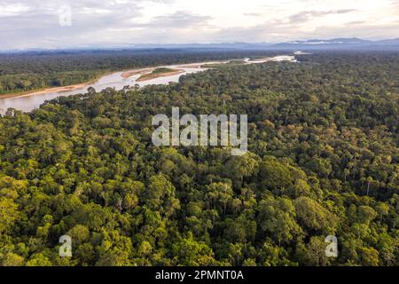 Luftaufnahme der bewaldeten Landschaft des Tambopata Reservats im Amazonasbecken im Südosten Perus; Puerto Maldonado, Madre de Dios, Peru Stockfoto