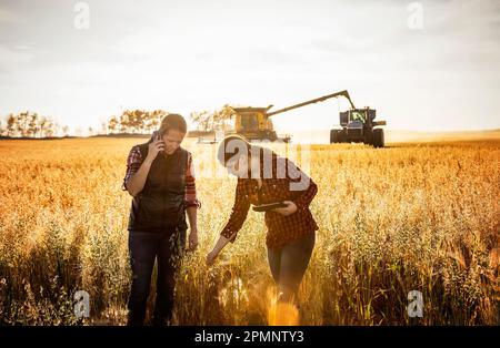 Eine reife Landwirtschaftsfrau, die auf einem Feld steht und einen Anruf macht, während sie das Getreide mit einer jungen, weiblichen Lehrerin untersucht, die landwirtschaftliche Software auf einem P... Stockfoto
