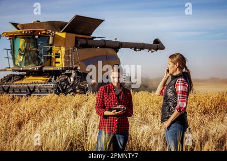 Eine reife Landwirtschaftsfrau, die auf einem Feld steht und bei der Ernte mit einer jungen Frau zusammen arbeitet, mit fortschrittlicher Agrarsoftware... Stockfoto