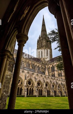 Blick durch den Bogen des Kreuzgangs in den Innenhof des 13. Jahrhunderts, Salisbury Cathedral; Salisbury, Wiltshire, England, Großbritannien Stockfoto