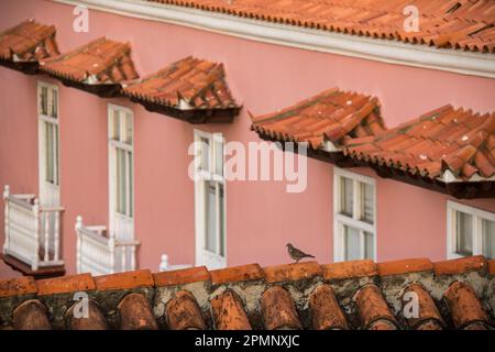 Architektonische Details von Gebäuden und einer Taube in der ummauerten Stadt Cartagena; Cartagena, Bolivar, Kolumbien Stockfoto