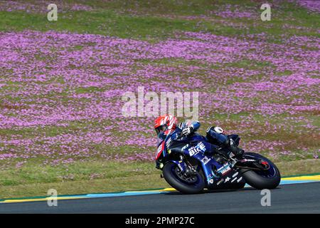 Le Mans, Frankreich. 13. April 2023. 86 PELLIZOTTI Maxim (FRA), HARTOG Rob (NED), GRUNWALD Luca (GER), YAMAHA YZF - R1, PIT LANE ENDURANCE - JP3, (FRA), Superstock, Action während der 2023 24 Heures Moto, 1. Runde der FIM Endurance World Championship, auf dem Circuit Bugatti vom 13. Bis 16. April in Le Mans, Frankreich - Foto Camille Guillaumot/DPPI Kredit: DPPI Media/Alamy Live News Stockfoto