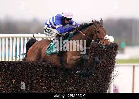 Das Bild D'Orhy, das von Jockey Harry Cobden geritten wird, räumt einen Zaun auf dem Weg zum Sieg während der Marsh Chase am zweiten Tag des Randox Grand National Festivals auf der Aintree Racecourse, Liverpool. Foto: Freitag, 14. April 2023. Stockfoto