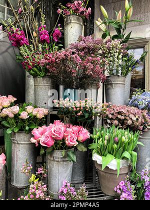 Ein lebendiges Blumendisplay mit einer Auswahl an verschiedenen Arten in verschiedenen Eimern in verschiedenen Farben Stockfoto