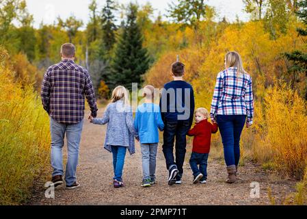 Eine sechsköpfige Familie, die im Herbst Hand in Hand in einem Park in Edmonton, Alberta, Kanada, spaziert Stockfoto