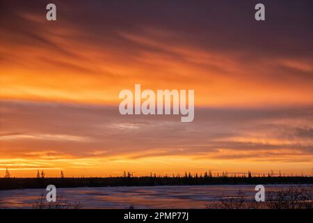 Sonnenaufgang über dem Wald und dem gefrorenen See entlang der Hudson Bay, Manitoba, Kanada; Churchill, Manitoba, Kanada Stockfoto