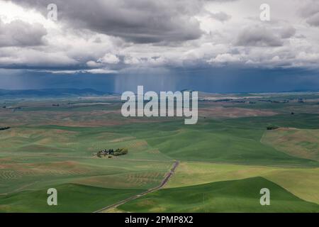 Lokalisierter Regensturm oder Squall aus Sicht vom Gipfel des Steptoe Butte State Park im Palouse County im Südosten von Washington, USA Stockfoto