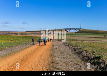 Navarre, Spanien, 26. März 2023: Pilger wandern entlang des Camino De Santiago, dem Weg von St. James Pilgerroute, Navarra, Spanien. Stockfoto