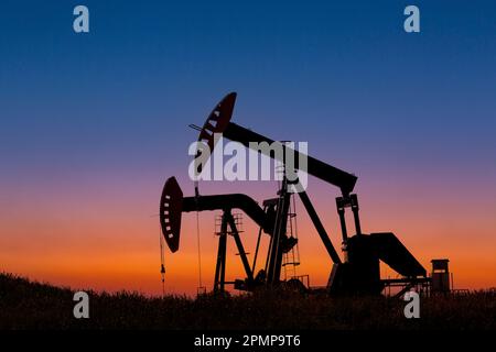 Silhouette aus zwei Kürbissen bei Sonnenaufgang mit leuchtendem Himmel im Hintergrund, westlich von Airdrie; Alberta, Kanada Stockfoto