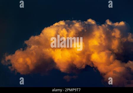 Dramatisch warme, glühende Sturmwolken bei Sonnenuntergang mit dunkelblauem Himmel; Calgary, Alberta, Kanada Stockfoto