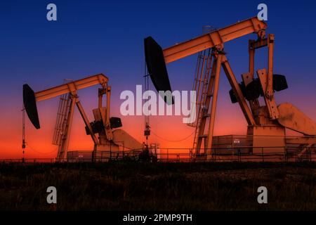 Leuchtende bunte Pumps bei Sonnenaufgang mit leuchtendem Himmel im Hintergrund, westlich von Airdrie; Alberta, Kanada Stockfoto