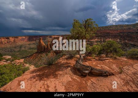 Colorado National Monument in der Nähe von Grand Junction, Colorado. Stürmische Wolken sammeln sich über einem dramatischen Aussichtspunkt; Colorado, Vereinigte Staaten von Amerika Stockfoto