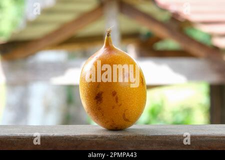 Nahaufnahme detaillierter exotischer, frischer Granadilla-Früchte Orangenfrüchte auf dem Schreibtisch mit Naturwaldhintergrund. Granadilla Fruit Cocktail Studio Shoot Konzept. Stockfoto