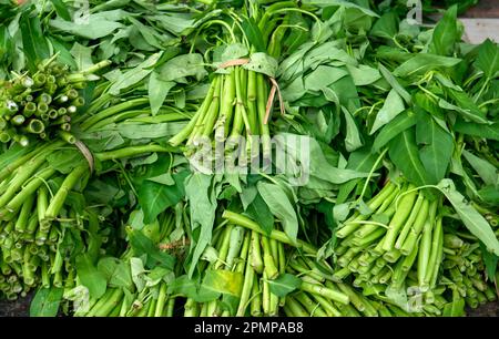 Ein Haufen Wasserspinat (Ipomoea aquatica), grüne Blätter auf dem Gemüsemarkt Stockfoto
