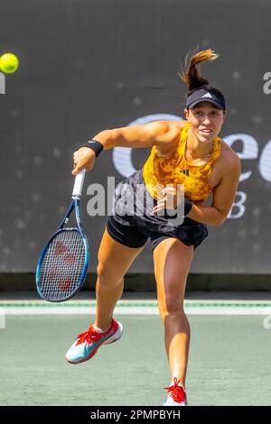 Charleston, SC, USA. 5. April 2023. (1) JESSICA PEGULA USA spielt bei der WTA Series für die Credit One Charleston Open in Charleston, SC, USA, gegen ANNA BLINKOVA. Jessica gewinnt 6:2, 6:0. (Kreditbild: © Walter G. Arce Sr./ZUMA Press Wire) NUR REDAKTIONELLE VERWENDUNG! Nicht für den kommerziellen GEBRAUCH! Stockfoto