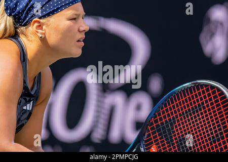 6. April 2023, Charleston, SC, Vereinigte Staaten von Amerika: DIANA SHNAIDER USA spielt gegen (12) PAULA BADOSA ESP auf der WTA Series für die Credit One Charleston Open in Charleston, SC, USA. (Kreditbild: © Walter G. Arce Sr./ZUMA Press Wire) NUR REDAKTIONELLE VERWENDUNG! Nicht für den kommerziellen GEBRAUCH! Stockfoto