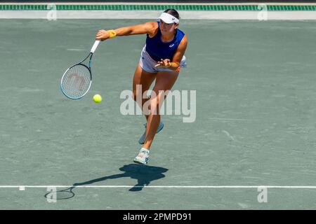 6. April 2023, Charleston, SC, Vereinigte Staaten von Amerika: (WC) CAROLINE DOLEHIDE USA spielt gegen (2) ONS JABEUR tun bei der WTA Series für die Credit One Charleston Open in Charleston, SC, USA. (Kreditbild: © Walter G. Arce Sr./ZUMA Press Wire) NUR REDAKTIONELLE VERWENDUNG! Nicht für den kommerziellen GEBRAUCH! Stockfoto