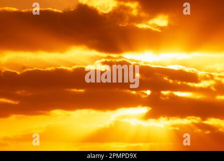 Atemberaubender Sonnenuntergang in brillantem Gold, das Sonnenlicht scheint hell durch die Wolken; Key West, Florida, Vereinigte Staaten von Amerika Stockfoto