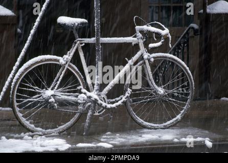 Das Fahrrad ist mit Schnee bedeckt, während es an einen Baum gekettet ist; New York City, New York, Vereinigte Staaten von Amerifca Stockfoto