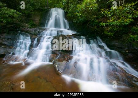 Der Laurel Falls Wasserfall fließt über Felsen im Great Smoky Mountains National Park, Tennessee, USA; Tennessee, USA Stockfoto