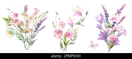 Ein Blumenstrauß. Aquarell, botanische Illustration, wilde Blumenstrauß mit violettem Blauglanz, Salbei und Kamille und Schmetterlingen Stockfoto