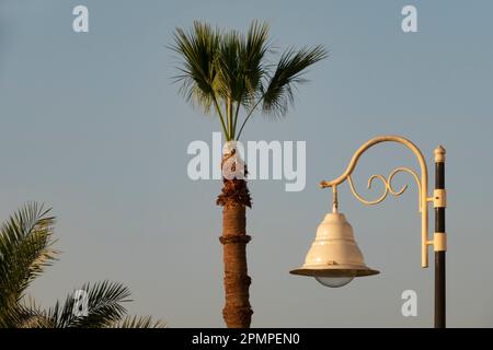 Eine dekorative Straßenlampe im alten Stil vor dem Himmel, wenn die Dämmerung naht, mit einer Palme im Hintergrund, Luxor, Ägypten Stockfoto