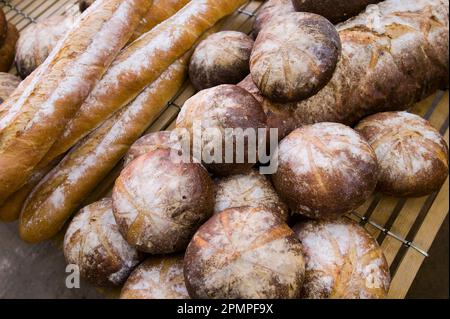 Frisch gebackenes Brot auf einem lokalen Markt; Collioure, Pyrenäen Orientales, Frankreich Stockfoto