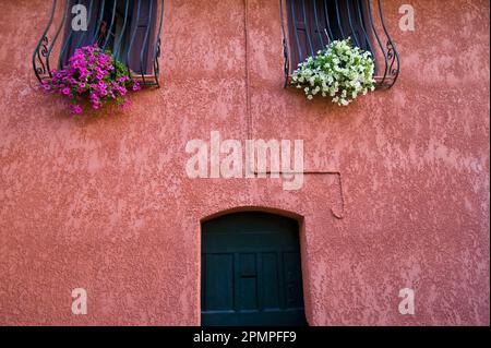 Wohnhäuser in Collioure; Collioure, Pyrenäen Orientales, Frankreich Stockfoto