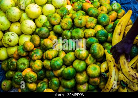 Frisches Obst zum Verkauf auf dem Samstagmorgen Markt in Port Antonio, Jamaica; Port Antonio, Jamaika Stockfoto